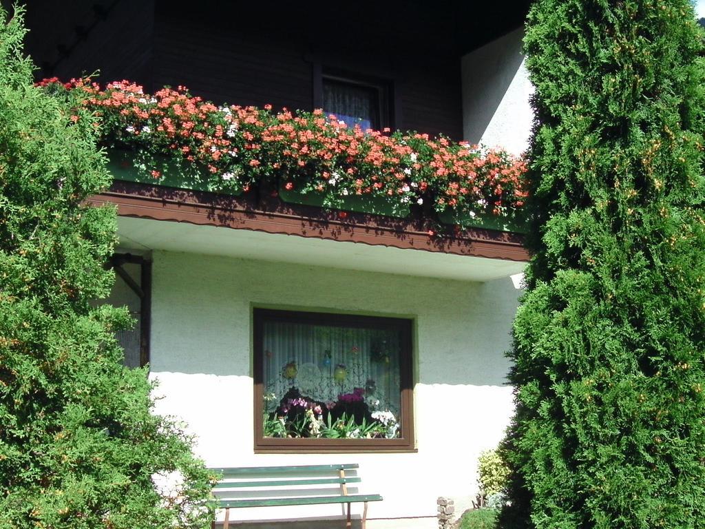 Appartement Ria Bad Kleinkirchheim Ngoại thất bức ảnh